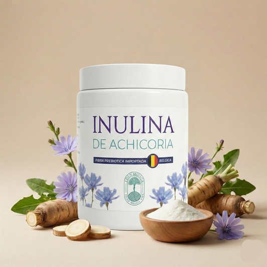 Inulina de Achicoria Premium