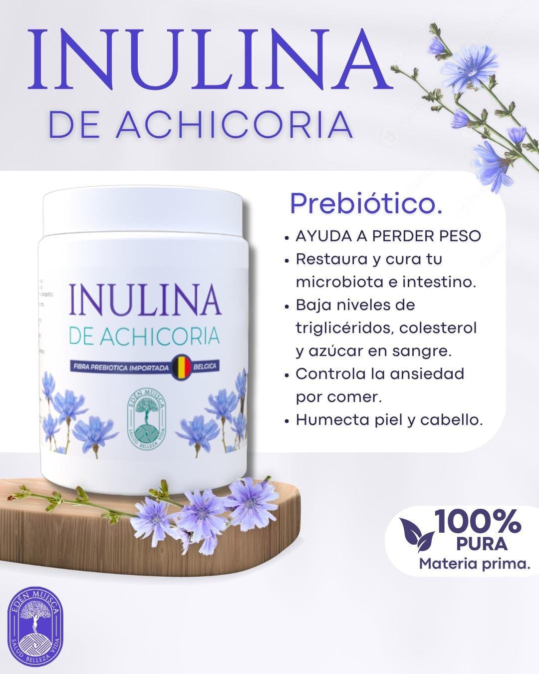 Inulina de Achicoria Premium