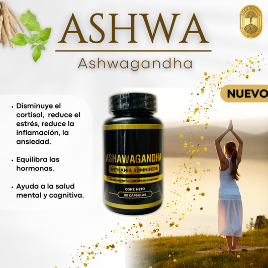 Ashwagandha Edén Muisca – Estrés, Sueño y Hormonas